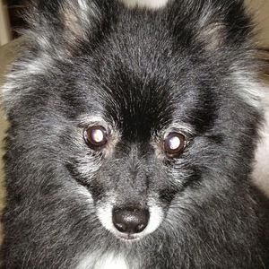 Meet your Posher, Leah